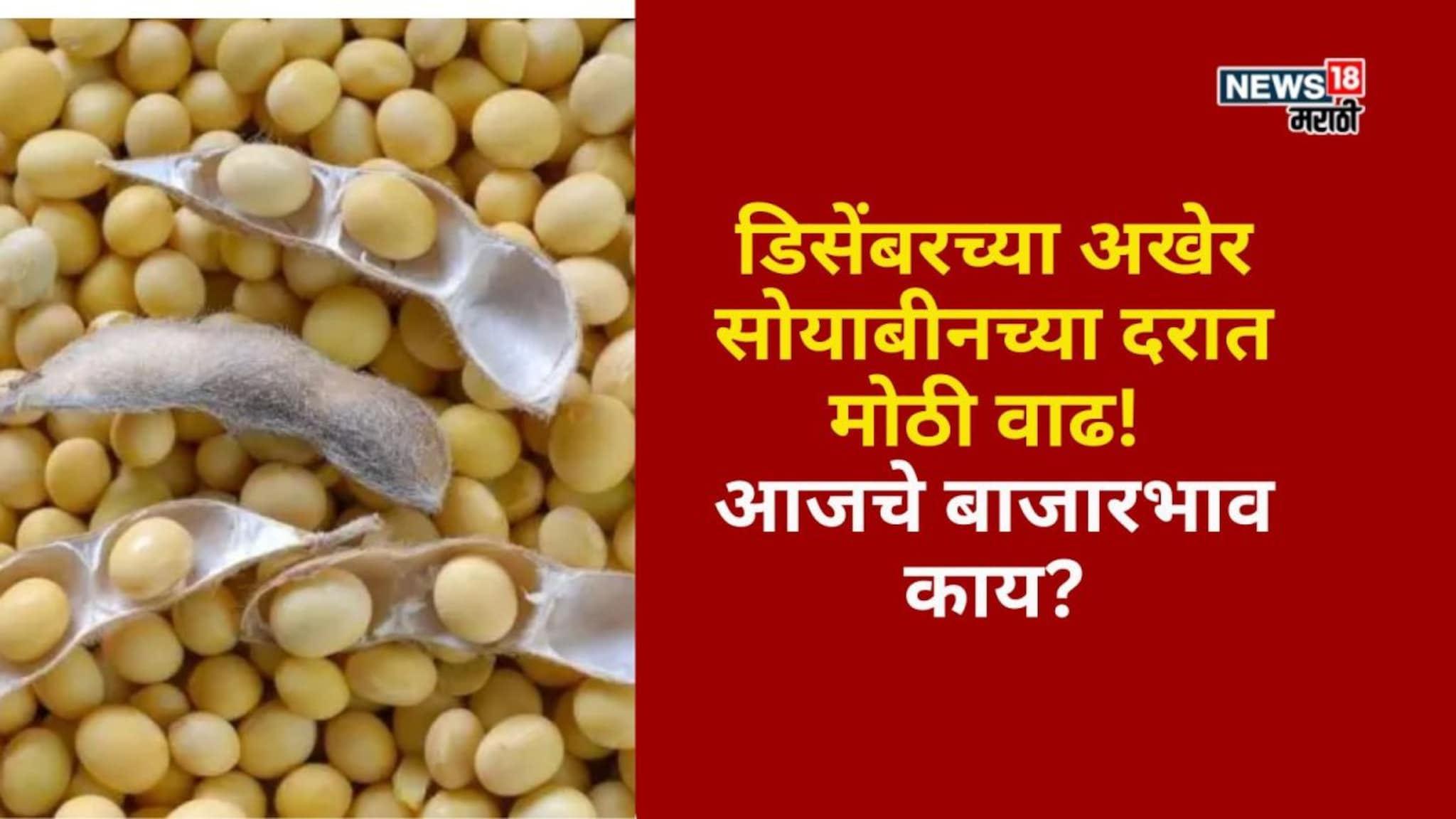 डिसेंबरच्या अखेर सोयाबीनच्या दरात मोठी वाढ, आजचे बाजारभाव काय?