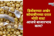 डिसेंबरच्या अखेर सोयाबीनच्या दरात मोठी वाढ, आजचे बाजारभाव काय?