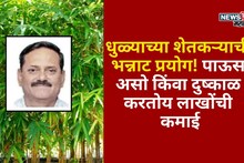 पाऊस असो किंवा दुष्काळ तरी घरात येतोय बक्कळ पैसा! धुळ्याचा शेतकरी या पिकातून करतोय लाखोंची कमाई