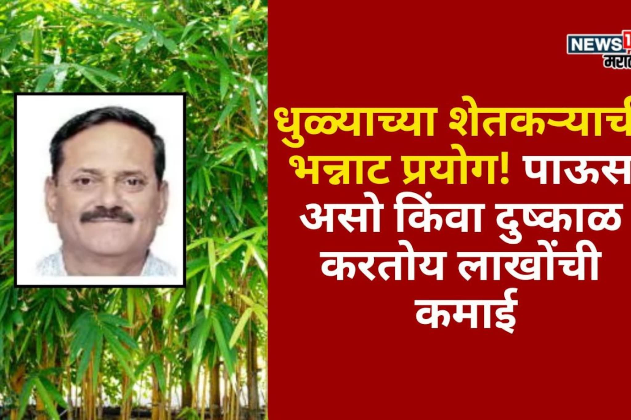 धुळ्याच्या शेतकऱ्याची भन्नाट प्रयोग! पाऊस असो किंवा दुष्काळ, करतोय लाखोंची कमाई