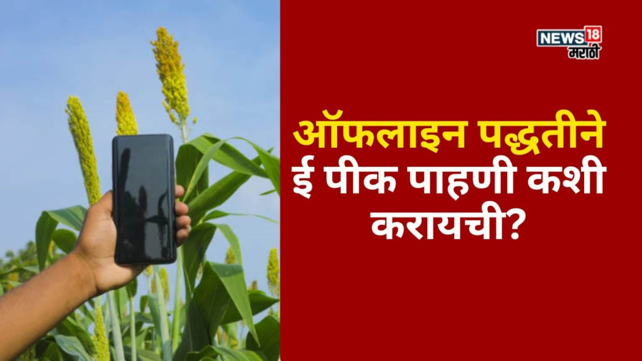 ई पीक पाहणीची शेवटची तारीख आली जवळ! ऑफलाइन पद्धतीने नोंदणी कशी करायची?