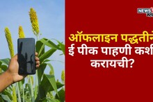 ई पीक पाहणीची शेवटची तारीख आली जवळ! ऑफलाइन पद्धतीने नोंदणी कशी करायची?