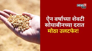 soybean market update