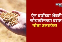 ऐन वर्षाच्या शेवटी सोयाबीनच्या दरात मोठा उलटफेर! आजचे बाजारभाव काय?