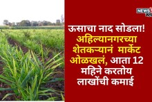 ऊसाचा नाद सोडला! अहिल्यानगरच्या शेतकऱ्यानं ओळखलं मार्केट, आता या शेतीतून 12 महीने करतोय लाखोंची कमाई