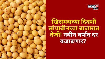 soyabean market update 