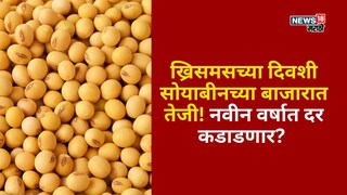 soyabean market update 