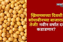 ख्रिसमसच्या दिवशी सोयाबीनच्या बाजारात तेजी! नवीन वर्षात दर कडाडणार? आजचे मार्केट काय?