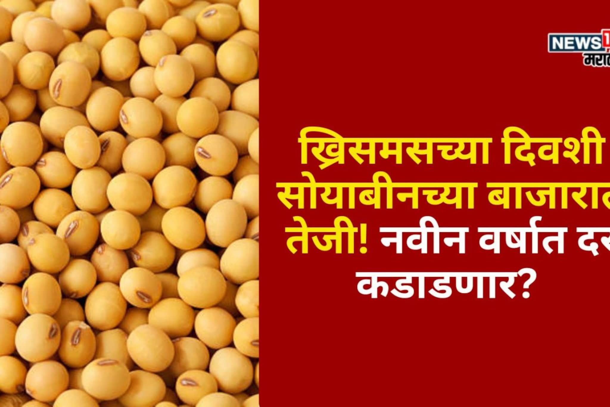 ख्रिसमसच्या दिवशी सोयाबीनच्या बाजारात तेजी! नवीन वर्षात दर कडाडणार?