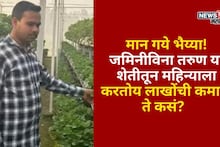 टीव्हीवरची एक क्लिप पाहिली,आता जमिनीविना तरुण या शेतीतून करतोय लाखोंची कमाई, ते कसं?