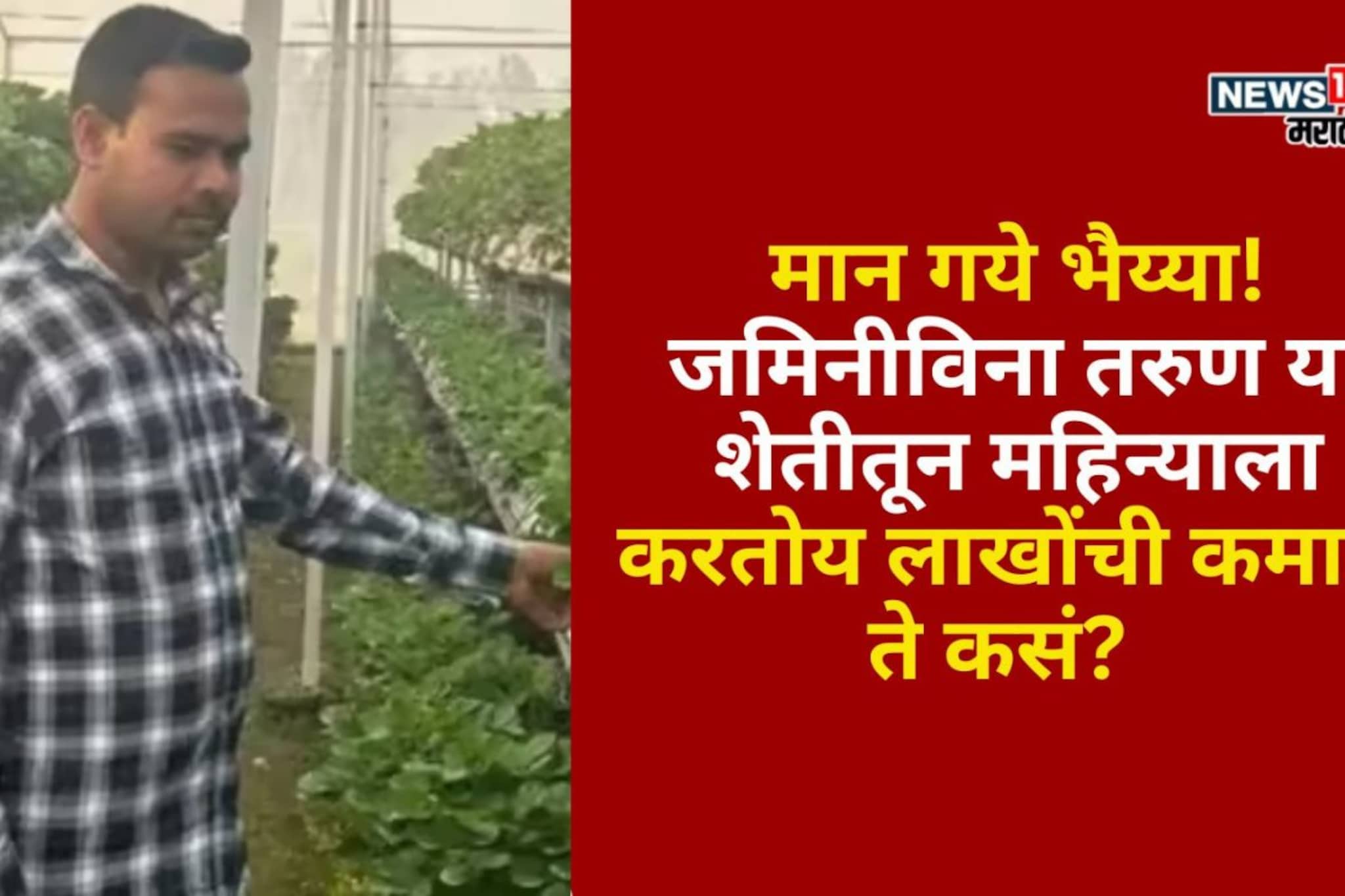 जमिनीविना तरुण या शेतीतून दोन महिन्यांत करतोय 3 लाखांची कमाई ते कसं? जमिनीविना तरुण या शेतीतून दोन महिन्यांत करतोय 3 लाखांची कमाई ते कसं?