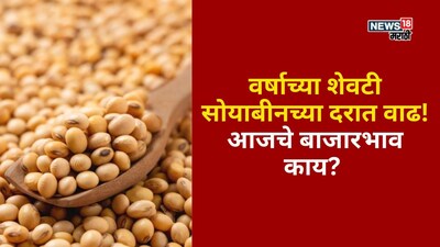 Soyabean Market Update