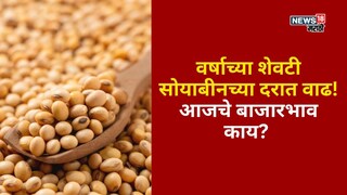 Soyabean Market Update 