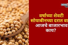 वर्षाच्या शेवटी सोयाबीनच्या दरात वाढ! शेतकऱ्यांना दिलासा, आजचे बाजारभाव काय?
