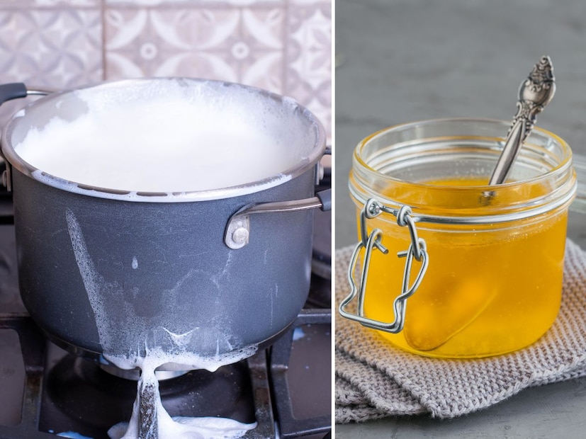 अनेक लोक तक्रार करतात की, त्यांच्या फुल क्रीम दुधावरही जास्त मलाई येत नाही. तुमच्या घरी येणार्‍या दुधावर भरपूर मलाई निघावी असे तुम्हालाही वाटत असेल तर तुम्ही काही युक्त्या वापरून जाड साय मिळवू शकता. अनेक लोक तक्रार करतात की, त्यांच्या फुल क्रीम दुधावरही जास्त मलाई येत नाही. तुमच्या घरी येणार्‍या दुधावर भरपूर मलाई निघावी असे तुम्हालाही वाटत असेल तर तुम्ही काही युक्त्या वापरून जाड साय मिळवू शकता.