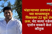 भंडाऱ्याच्या तरुणानं AI च्या माध्यमातून पिकवला 22 फूट उंच ऊस, थेट सत्या नडेला, एलोन मस्कने केलं कौतुक