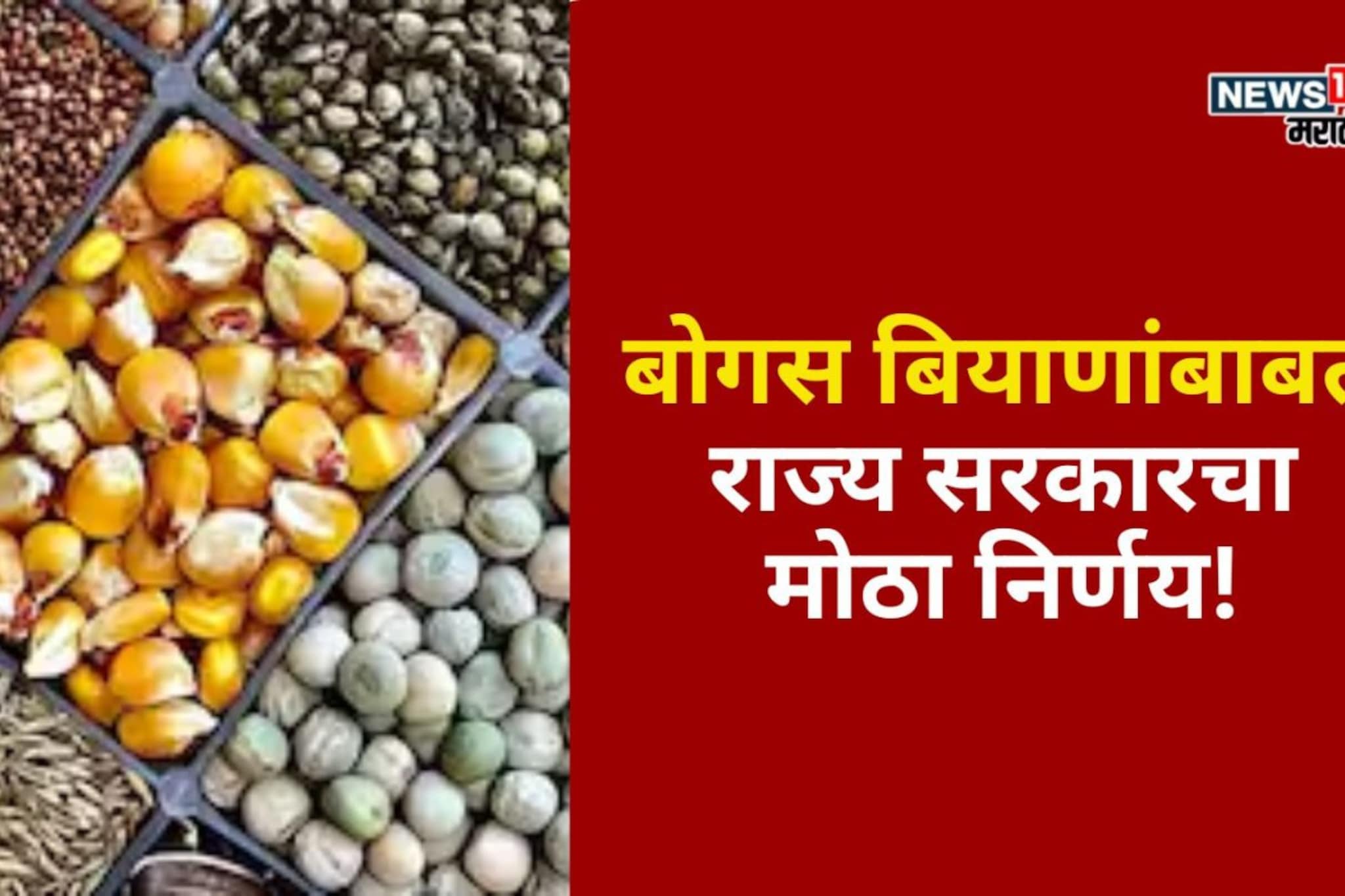 बोगस बियाणांबाबत कृषीमंत्र्यांनी घेतला मोठा निर्णय!