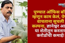 पुण्यात ऑफिस बॉय म्हणून काम केलं, पेपर वाचताना सुचली कल्पना, ज्ञानेश्वर आता या शेतीतून करताय करोडोंची कमाई