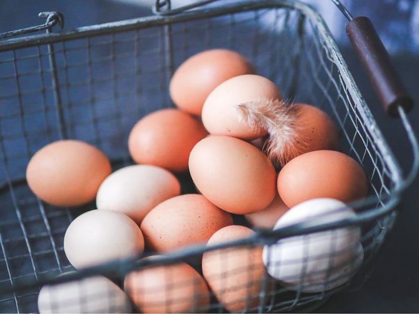 अंडी बराच काळ ताजी कशी ठेवावी : तुम्ही अंडी रेफ्रिजरेटरमध्ये 3-5 आठवड्यांसाठी ठेवू शकता. जर तुम्ही अंड्यातील पिवळ बलक फ्रीजरमध्ये साठवला तर तो वर्षभर खाण्यायोग्य राहातो. अंडी नेहमीच त्यांच्या कार्टनमध्ये थंड, गडद ठिकाणी साठवावीत.