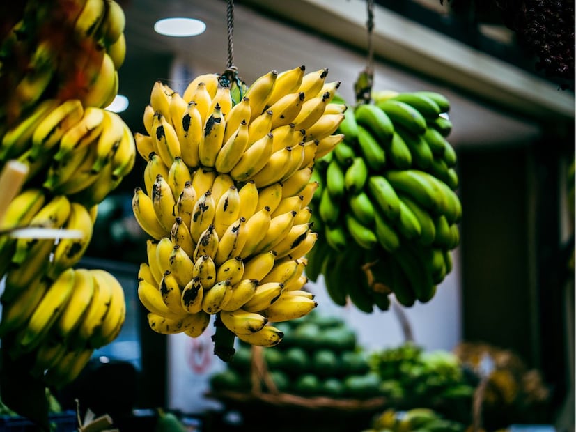 सर्वप्रथम योग्य केळी निवडा : घरी केळी पिकवण्यासाठी पहिला टप्पा म्हणजे योग्य प्रकारची कच्ची केळी आणणे. यासाठी बाजारातून एक डझन कच्ची केळी घेऊन या. सर्वात महत्त्वाचे म्हणजे ही केळी सैल नसावीत, तर गुच्छासह म्हणजेच देठासकट असावीत. जाड आणि भरगच्च असलेली केळी नैसर्गिकरित्या लवकर आणि छान पिकतात. सर्वप्रथम योग्य केळी निवडा : घरी केळी पिकवण्यासाठी पहिला टप्पा म्हणजे योग्य प्रकारची कच्ची केळी आणणे. यासाठी बाजारातून एक डझन कच्ची केळी घेऊन या. सर्वात महत्त्वाचे म्हणजे ही केळी सैल नसावीत, तर गुच्छासह म्हणजेच देठासकट असावीत. जाड आणि भरगच्च असलेली केळी नैसर्गिकरित्या लवकर आणि छान पिकतात.