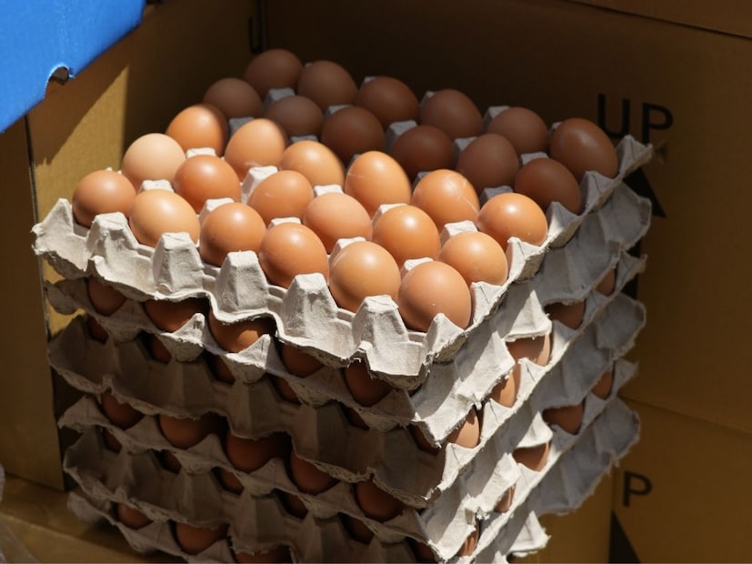 Disclaimer : या बातमीत दिलेली माहिती आणि आरोग्याशी संबंधित सल्ला तज्ञांशी झालेल्या संभाषणांवर आधारित आहे. ही सामान्य माहिती आहे, वैयक्तिक सल्ला नाही. म्हणून, डॉक्टरांचा सल्ला घेतल्यानंतरच काहीही वापरा. त्याच्या वापरामुळे होणाऱ्या कोणत्याही नुकसानासाठी न्यूज-18 जबाबदार राहणार नाही. 