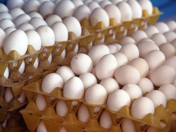 अंडी किती दिवसांत एक्स्पायर होतात? दीर्घकाळ ताजे ठेवण्यासाठी हे आहेत बेस्ट उपाय अंडी किती दिवसांत एक्स्पायर होतात? दीर्घकाळ ताजे ठेवण्यासाठी हे आहेत बेस्ट उपाय