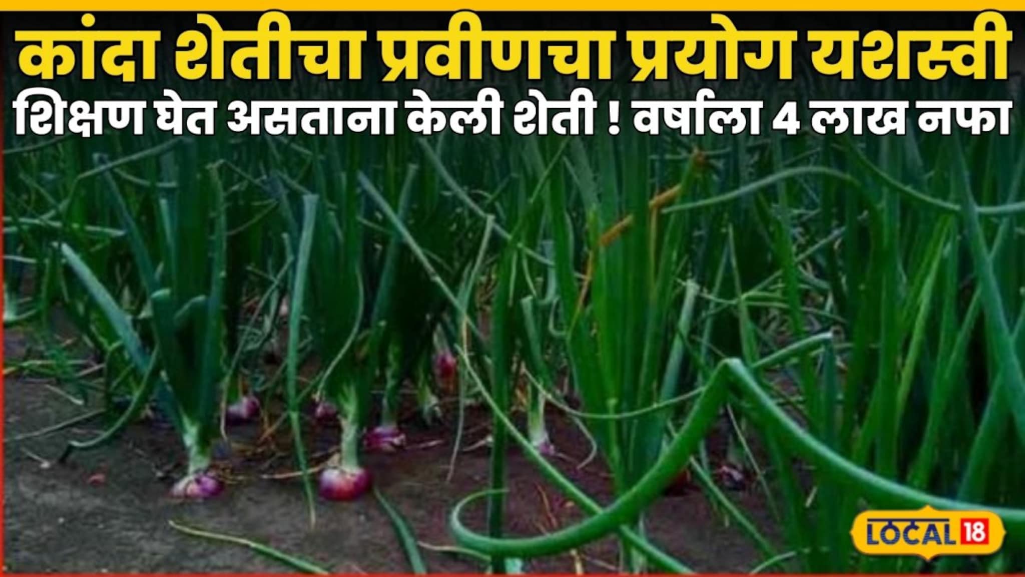 Success Story : शिक्षण घेत असताना केली शेती, कांदा शेतीचा प्रवीणचा प्रयोग यशस्वी, वर्षाला 4 लाख नफा