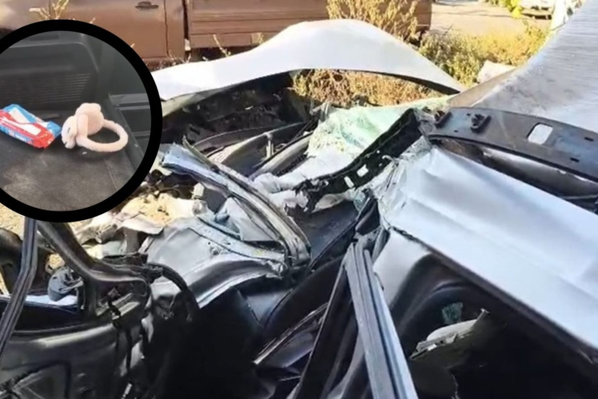 सिन्नरला समृद्धी महामार्गावर भीषण अपघात, Kia कारचा भुगा; दोघांचा मृत्यू सिन्नरला समृद्धी महामार्गावर भीषण अपघात, Kia कारचा भुगा; दोघांचा मृत्यू