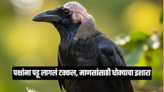 Ai Generated Photo Ai Generated Photo