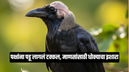 Ai Generated Photo Ai Generated Photo