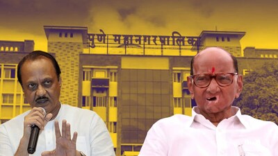 Ajit Pawar NCP Sharad Pawar NCP