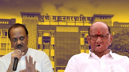 Ajit Pawar NCP Sharad Pawar NCP Ajit Pawar NCP Sharad Pawar NCP