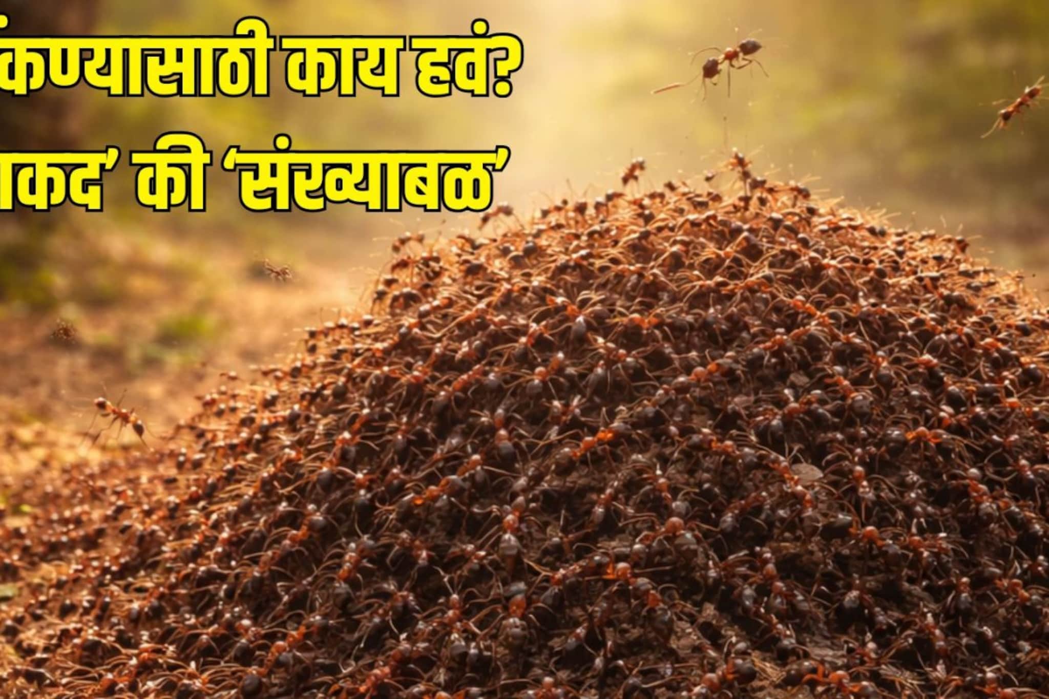 पृथ्वी जिंकणारी 'सुपर-पॉवर' गँग; धक्कादायक शोध, विज्ञानाला चक्रावून सोडलं