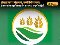  Mahavistar App: शेतात काय पेरायचं, कधी विकायचं? शेतकऱ्यांना महाविस्तार ॲप सांगणार संपूर्ण माहिती