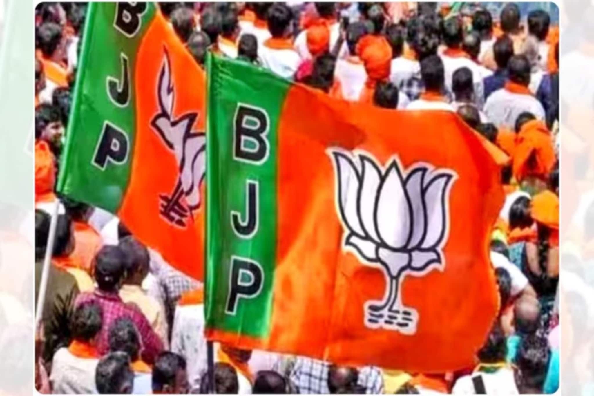 हिंदूबहुल मतदारसंघ, काँग्रेसचा गड; भाजपचे ट्रम्पकार्ड, मुस्लिम उमेदवाराचा विजय हिंदूबहुल मतदारसंघ, काँग्रेसचा गड; भाजपचे ट्रम्पकार्ड, मुस्लिम उमेदवाराचा विजय