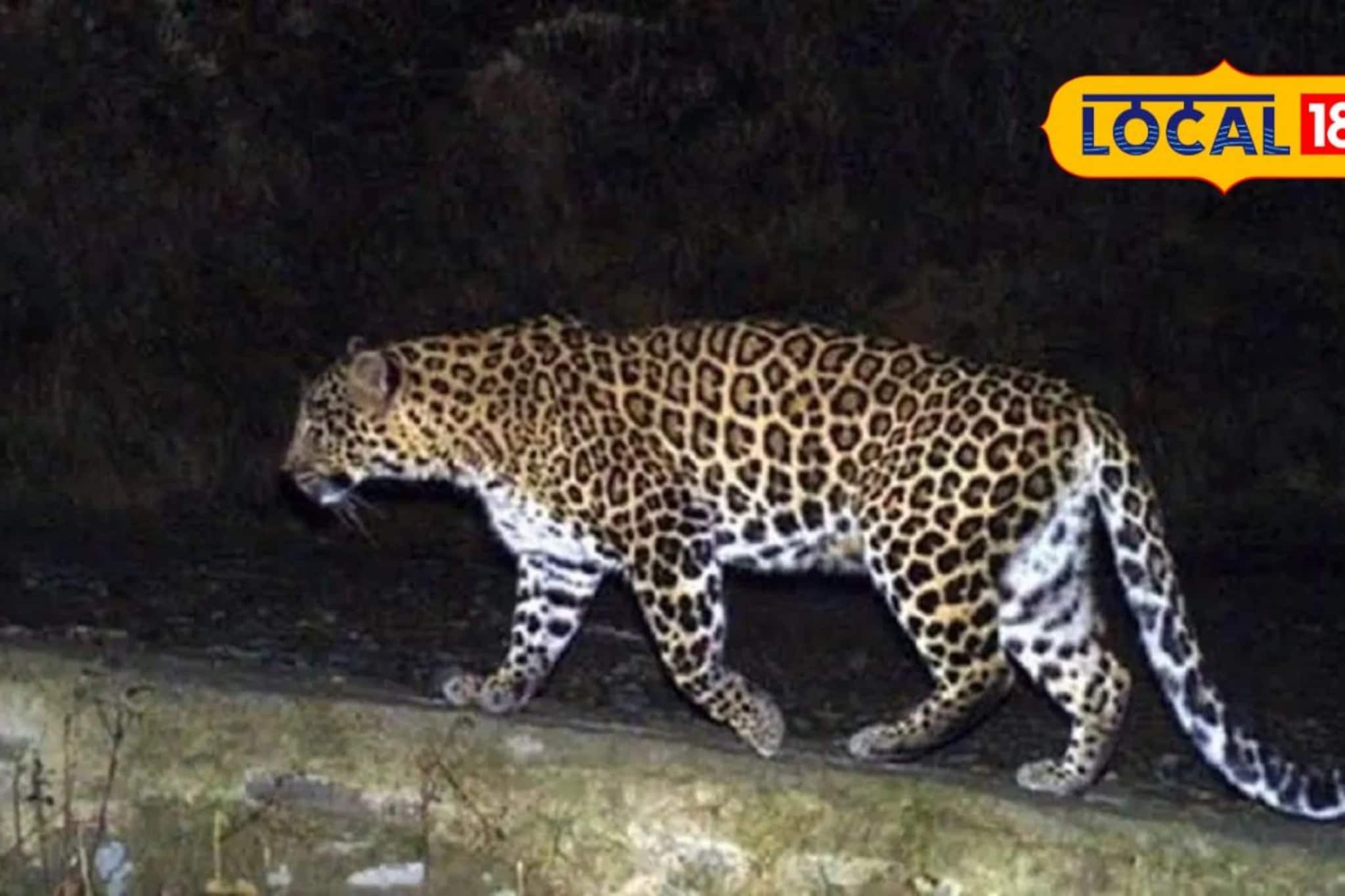 बदलापूरकरांचं टेन्शन वाढवणारी बातमी! 'तो' आलाय, आता काळजी घ्या बदलापूरकरांचं टेन्शन वाढवणारी बातमी! 'तो' आलाय, आता काळजी घ्या