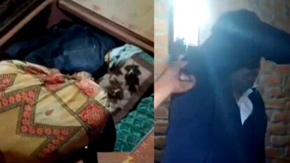 फोटो : सोशल मीडिया व्हिडीओ ग्रॅब फोटो : सोशल मीडिया व्हिडीओ ग्रॅब