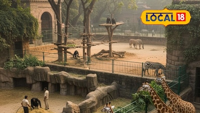 Ranibaug in Mumbai to get 16 new exotic animals, major expansion underway.