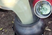 Kadhi Recipe Video : मडक्यातील चिपीची कढी, कधी टेस्ट केलीये का? आजी पणजीची जुनी रेसिपी