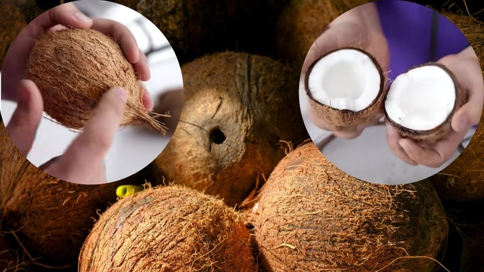 Chef Kitchen Tips : नारळ वाकडातिकडा फुटतो, शेफ कुणाल कपूरने दाखवली नारळ फोडण्याची योग्य पद्धत