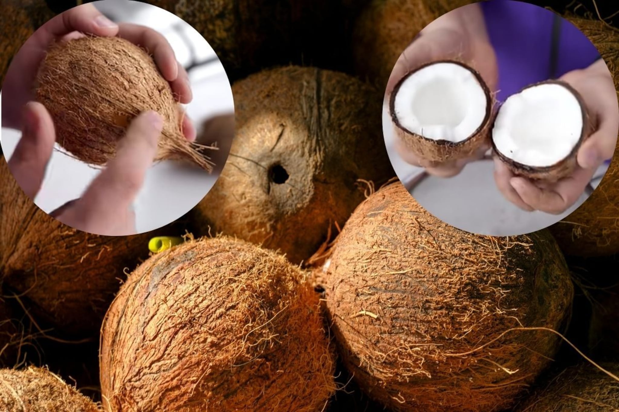 नारळ वाकडातिकडा फुटतो, शेफ कुणाल कपूरने दाखवली नारळ फोडण्याची योग्य पद्धत