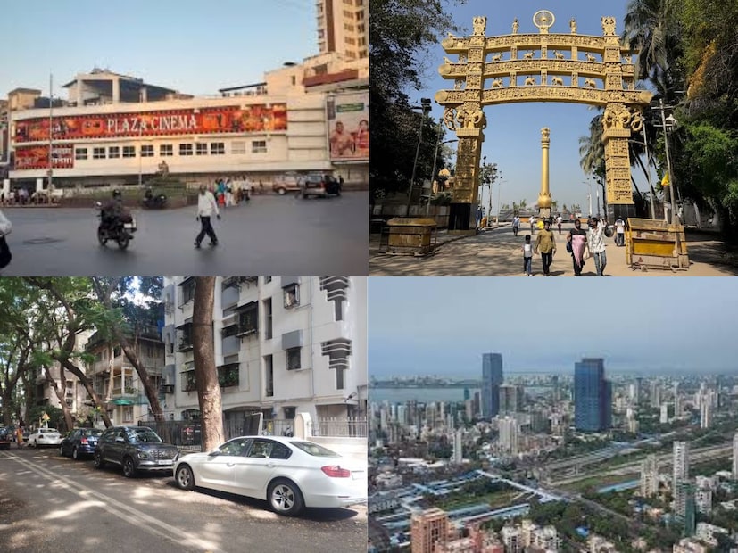  येथेच मराठी चित्रपटांसाठी हक्काचे प्लाझा थिएटर सुद्धा आहे, चौपाटीजवळ चैत्यभूमी आहे, तेथे दरवर्षी लाखो अनुयायी डॉ. बाबासाहेब आंबेडकर यांना वंदन करण्यासाठी येतात, पारसी कॉलनी, हिंदू कॉलनी, चाळी आणि आता निर्माण झालेल्या टोलेजंग इमारती असे वेगवेगळे परिसर दादरमध्ये आहेत, हे असं दादरचं वैभव तुम्हाला पाहायला मिळेल.