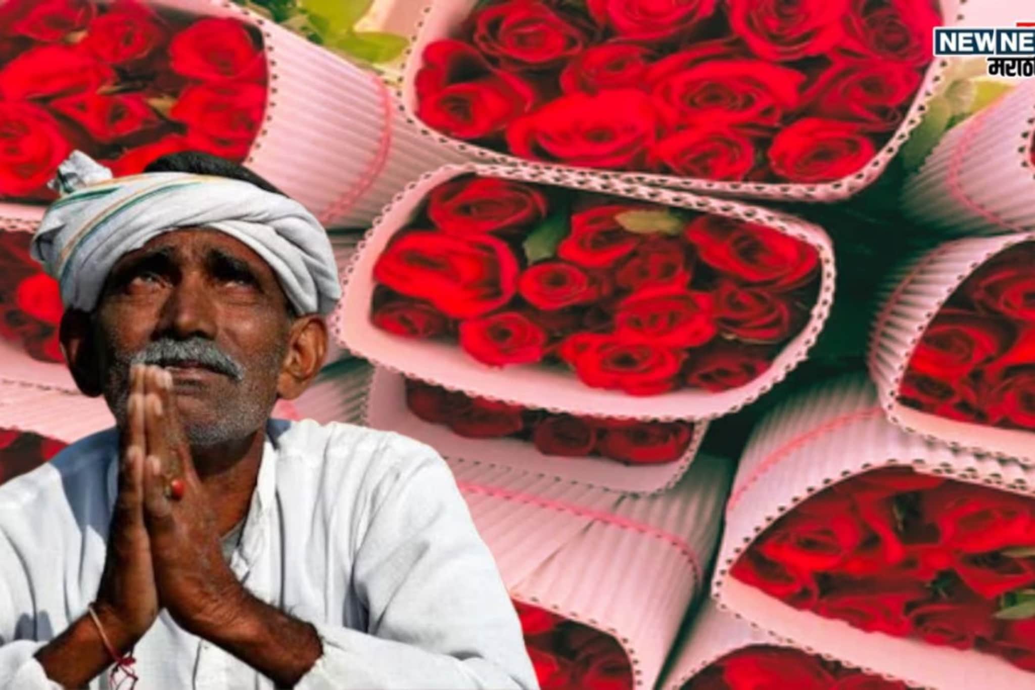 इंडिगोमुळे शेतकऱ्यांचं लाखो रुपयांचं नुकसान, हातातोंडाशी आलेला घास हिरावला इंडिगोमुळे शेतकऱ्यांचं लाखो रुपयांचं नुकसान, हातातोंडाशी आलेला घास हिरावला