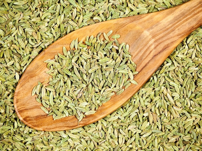 बडीशेपमध्ये अँटासीड घटक आहे, जो आपल्या शरीरातील एक्स्ट्रा अॅसिडला न्यूट्रिलाइझ करायचं काम करतं. अन्नपचनासाठी लागणारं पाचक रस तयार करण्यात मदत करते. त्यामुळे अन्नपचन शक्ती मजबूत बनते.