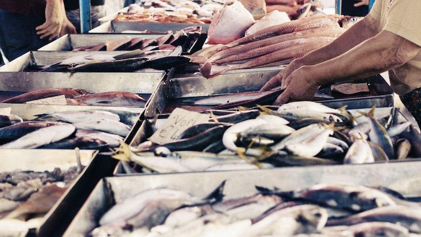 वर उल्लेख केलेल्या माशांचा तात्काळ परिणाम होतो, तर काही हळूहळू मारतात. तेलकट मासे आणि मोठे शिकारी मासे पारा जमा करतात, जो अन्नसाखळीत वर जाणारा एक न्यूरोटॉक्सिन देखील आहे. किंग मॅकरेल, स्वॉर्डफिश आणि शार्कसारख्या माशांमध्यं पाराचे प्रमाण जास्त असतं. त्यांचं नियमित सेवन केल्याने मेंदू आणि मज्जासंस्थेला, विशेषतः गर्भवती महिला आणि मुलांसाठी, लक्षणीय नुकसान होऊ शकते.