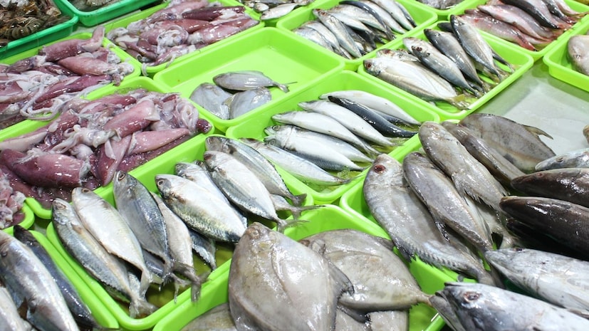 हवामान बदलामुळे हा धोका वाढत आहे हे जाणून तुम्हाला आश्चर्य वाटेल. जेव्हा समुद्राचं तापमान वाढतं तेव्हा प्रवाळ खडक मरण्यास सुरुवात होते. डायनोफ्लॅगेलेट शैवाल मृत प्रवाळांवर वेगाने वाढतात. अधिक शैवाल म्हणजे माशांमध्ये जास्त विषारी पदार्थ. याचा अर्थ जागतिक तापमानवाढ तुमच्या प्लेटवरील मासे आणखी विषारी बनवत आहे.