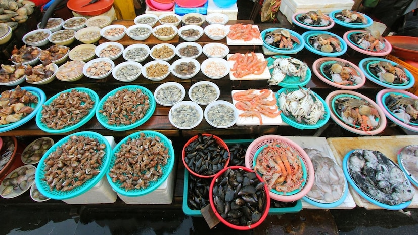 हे नेहमीच घडत नाही. हे फक्त वर्षाच्या काही विशिष्ट वेळी घडते. शास्त्रज्ञांचा असा सिद्धांत आहे की ही नशा ही माशा खाणाऱ्या शैवाल किंवा फायटोप्लँक्टनपासून येते. रोमन काळात लोक या माशाचा वापर नशेसाठी करत असत.