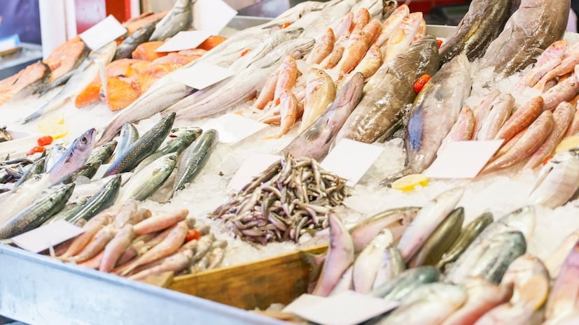 समुद्रात डायनोफ्लेजेलेट्स नावाचे शैवाल आढळतात. लहान मासे त्यांना खातात. मग बाराकुडा आणि मोरे ईलसारखे मोठे शिकारी मासे त्या लहान माशांना खातात. अशाप्रकारे विष अन्नसाखळीतून वर जाते आणि मोठ्या माशांमध्ये जमा होतं. केवळ भक्षक मासेच नाही तर रेड स्नॅपर आणि सी बास सारख्या सामान्य माशांनाही याने दूषित केलं जाऊ शकतं. हे विष डोके, यकृत आणि आतड्यांमध्ये सर्वाधिक प्रमाणात असतं.