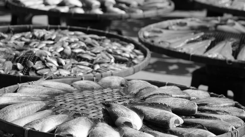 केवळ विचित्र दिसणारे मासे धोकादायक नसतात. कोरल रीफसारखे सुंदर मासेदेखील प्राणघातक असू शकतात. त्यामध्ये सिगुआटोक्सिन नावाचं न्यूरोटॉक्सिन असतं.