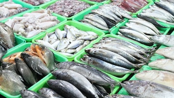 Fish : हे मासे खाताना जपूनच! आहेत चविष्ट, पण बनवताना छोटी चूक आणि थेट मृत्यूच Fish : हे मासे खाताना जपूनच! आहेत चविष्ट, पण बनवताना छोटी चूक आणि थेट मृत्यूच